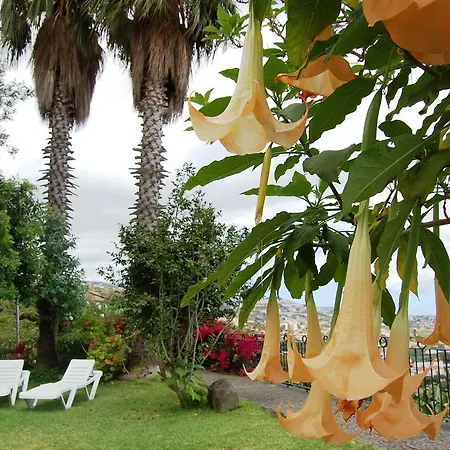 Afonso Camara de Lobos