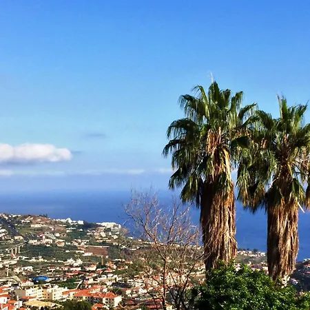 Afonso Camara de Lobos
