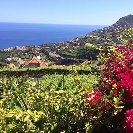 Afonso * Camara de Lobos