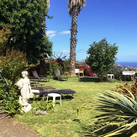 Afonso Camara de Lobos